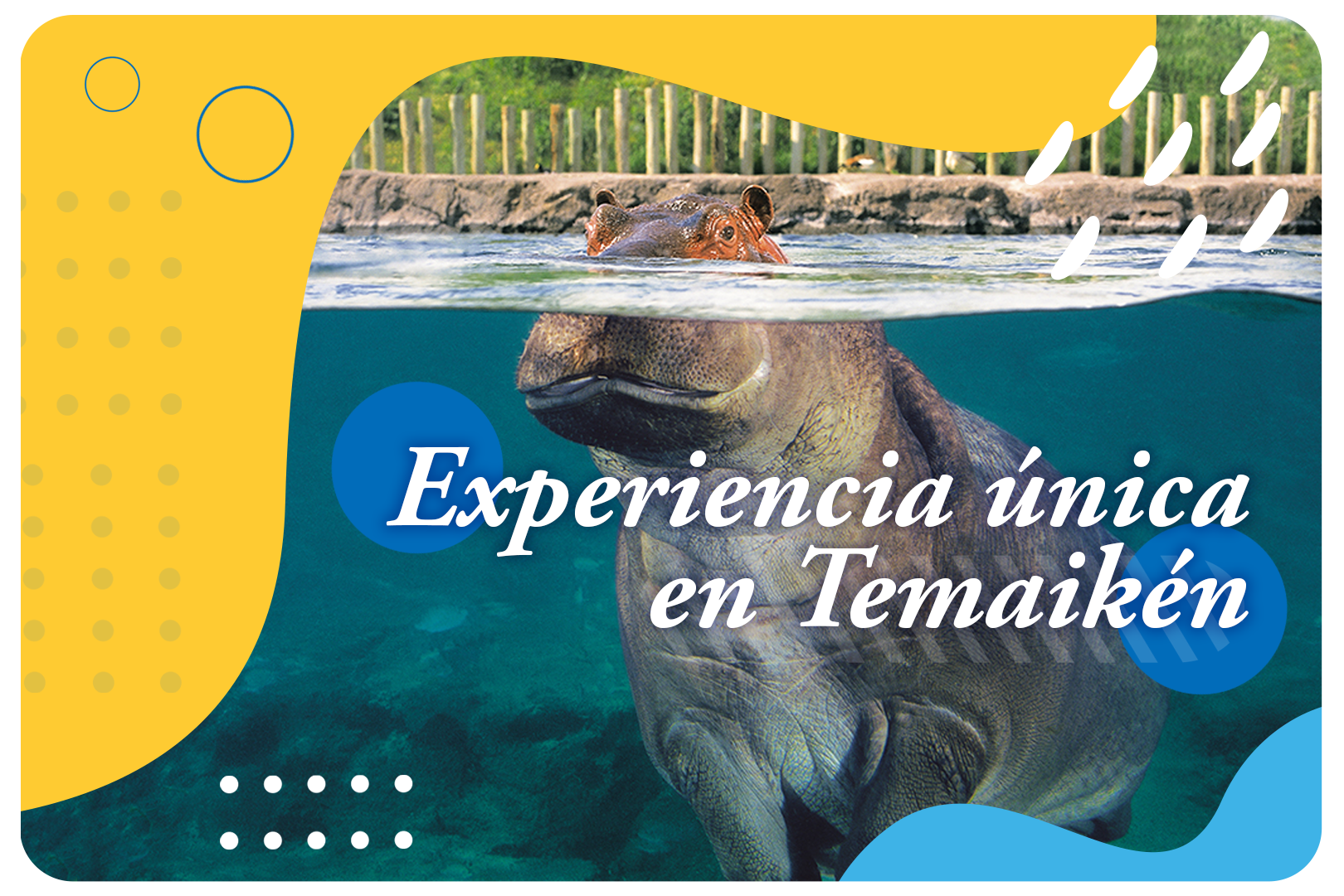 Experiencia única en Temaiken